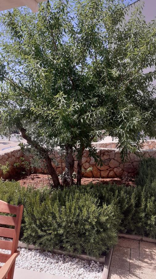Lorena كريس المظهر الخارجي الصورة